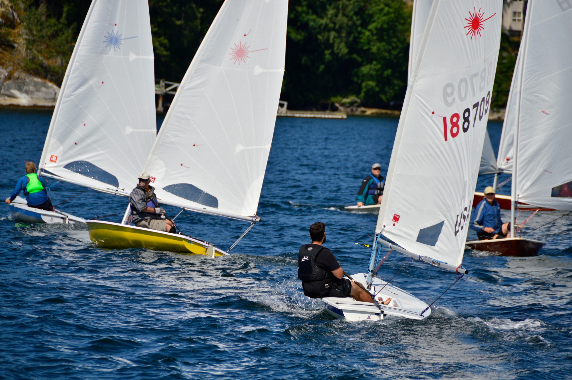 Lasers staging for the start of the race at The 6th Annual Poise Cove Regatta July 16th, 2017